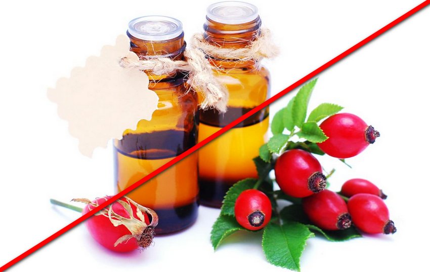 Шкоду олії шипшини Шкоду олії шипшини