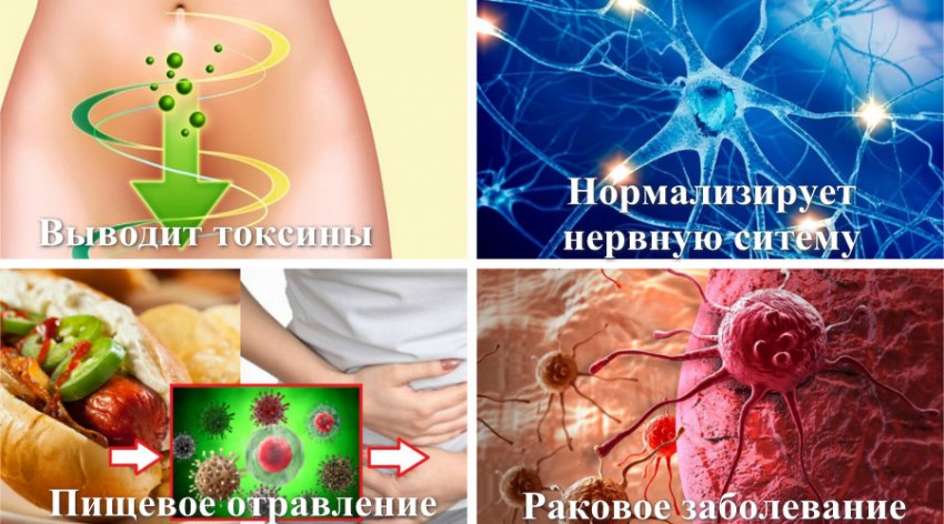 Показання до застосування лохини