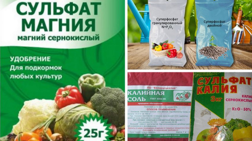 Підгодівлі для лохини