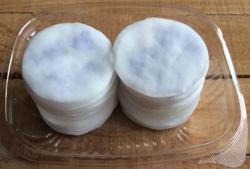 Стратифікація насіння лохини Стратифікація насіння лохини