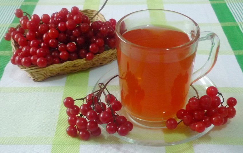 Відвар з ягід калини Відвар з ягід калини