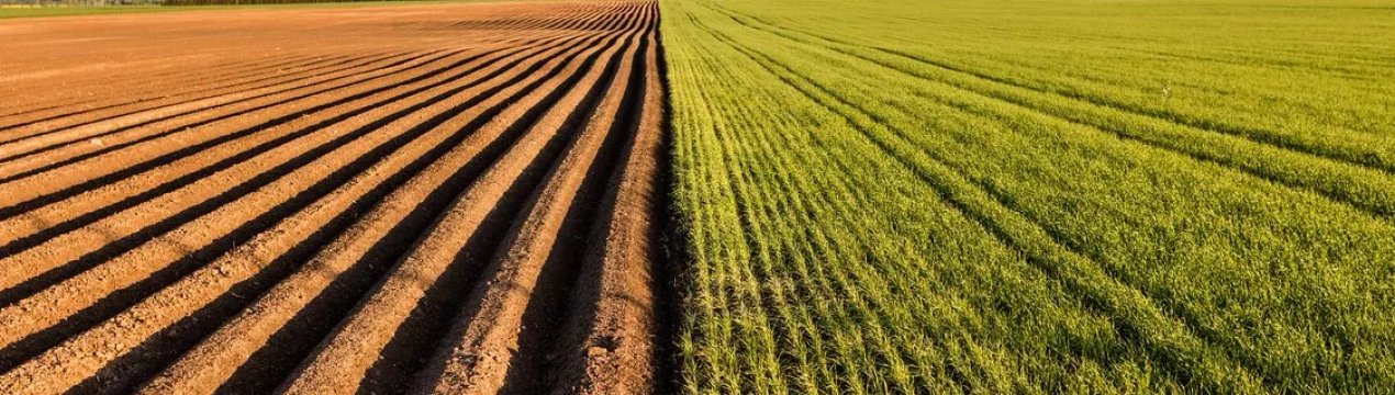 Волинські фіскали виявили недобросовісних аграріїв