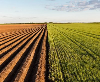 Волинські фіскали виявили недобросовісних аграріїв