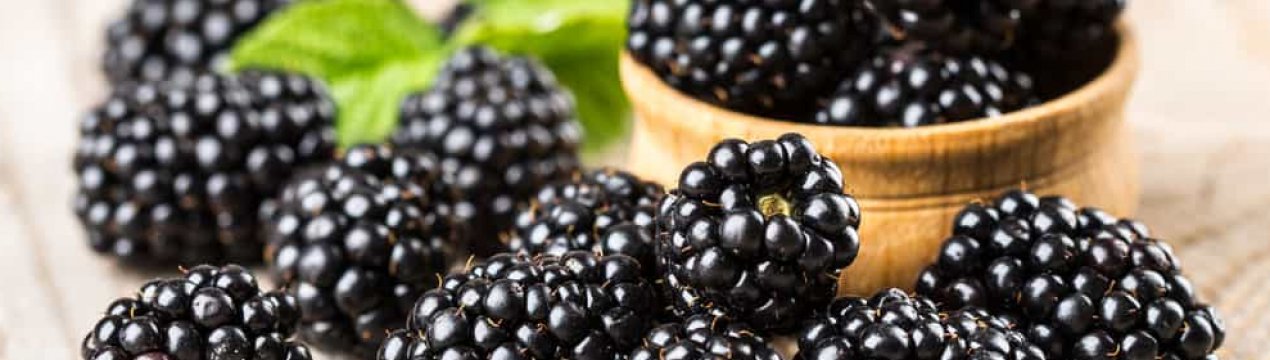 Ожина побила рекорд по зниженню цін на ягідному ринку України