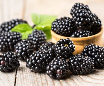 Ожина побила рекорд по зниженню цін на ягідному ринку України