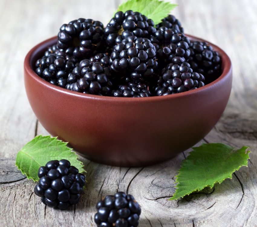 Ожина побила рекорд по зниженню цін на ягідному ринку України Ожина побила рекорд по зниженню цін на ягідному ринку України