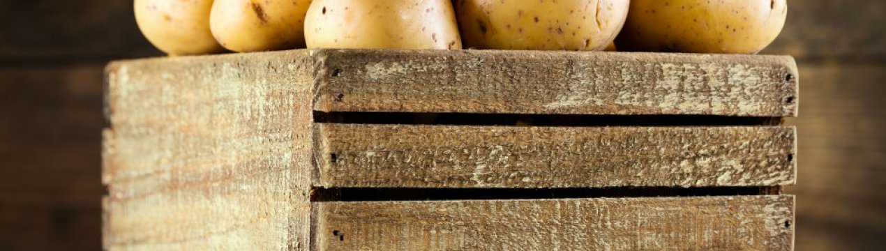 Картопля в Україні стає все доступнішим