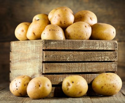 Картопля в Україні стає все доступнішим