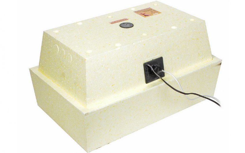 Інкубатор «Попелюшка» Інкубатор «Попелюшка»