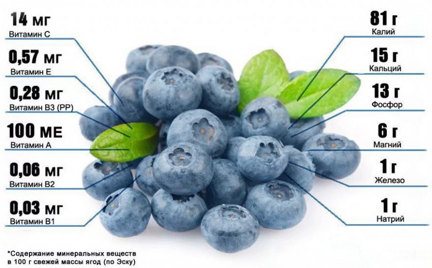 Хімічний склад лохини