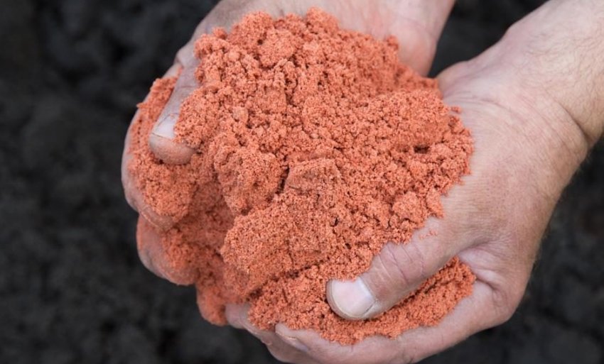 Калійна сіль для добрива калини восени