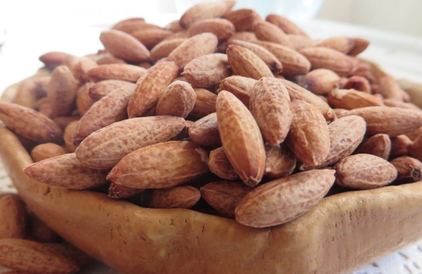 Кісточки кизилу Кісточки кизилу