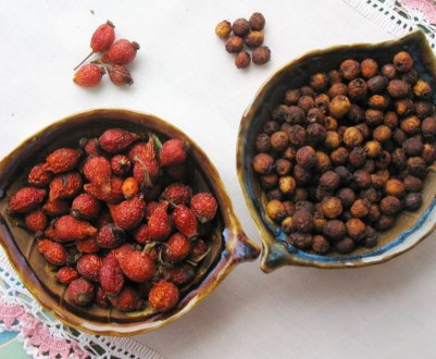 Напої з шипшини і глоду: як готувати, користь і шкода