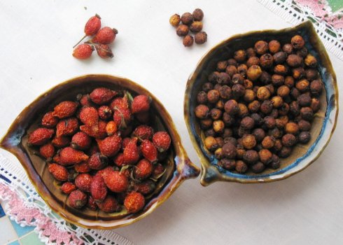 Напої з шипшини і глоду: як готувати, користь і шкода