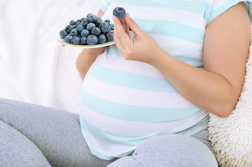 Голубика при беременности