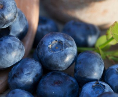 Корисні властивості лохини для вагітних