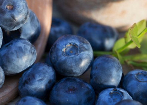 Корисні властивості лохини для вагітних