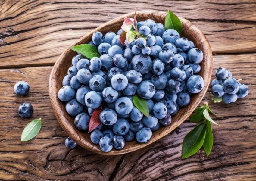 Плоди чорниці