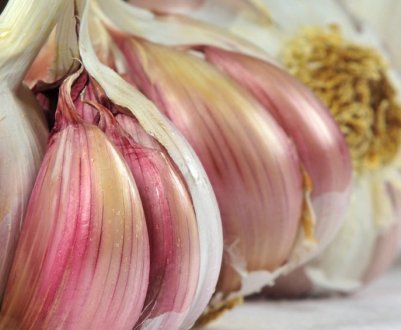 Часник — це овоч чи ні?