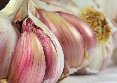 Часник — це овоч чи ні?