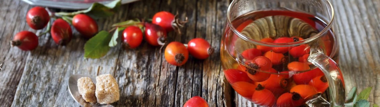 Корисні властивості чаю з шипшини