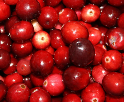 Користь і шкода журавлини для організму людини