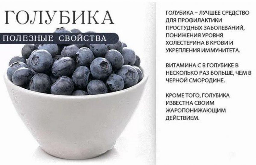 Корисні властивості лохини Корисні властивості лохини