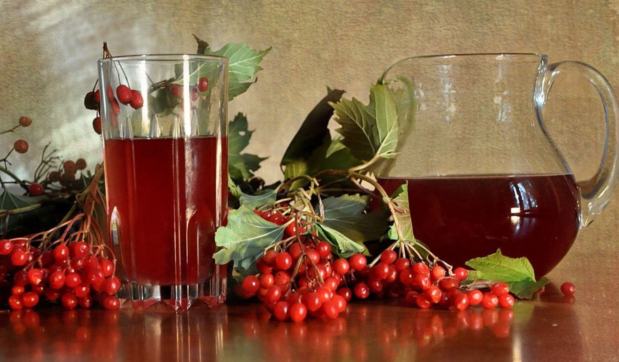 Куделиха из калина красная