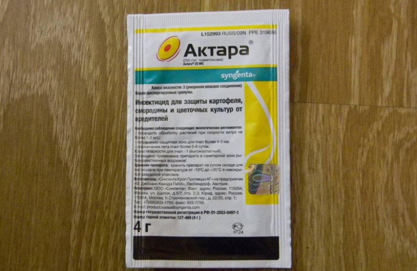 Смородина тля как бороться народные средства. 108291.pv17wo.850. Смородина тля как бороться народные средства фото. Смородина тля как бороться народные средства-108291.pv17wo.850. картинка Смородина тля как бороться народные средства. картинка 108291.pv17wo.850. Тля не только вредоносный паразит, который вытягивает все соки из смородины, но еще и переносчик опасных инфекций. Грибок – далеко не худшее, что может принести вредитель. Неизлечимые вирусы способны уничтожить целую посадку, погубить урожай и испортить почву на пару лет. Поэтому так важно своевременно бороться с тлей, а мы уже готовы рассказать, как!