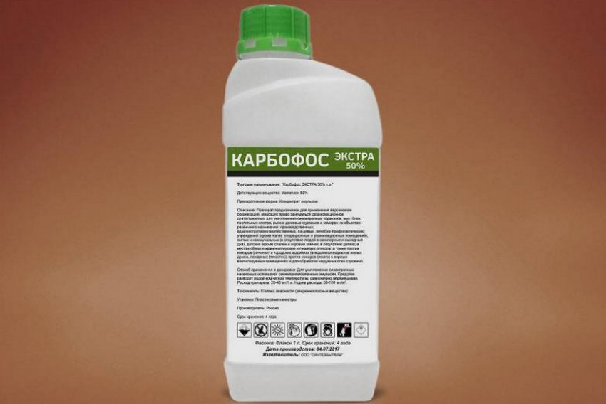 Смородина тля как бороться народные средства. 108296.pv18k0.850. Смородина тля как бороться народные средства фото. Смородина тля как бороться народные средства-108296.pv18k0.850. картинка Смородина тля как бороться народные средства. картинка 108296.pv18k0.850. Тля не только вредоносный паразит, который вытягивает все соки из смородины, но еще и переносчик опасных инфекций. Грибок – далеко не худшее, что может принести вредитель. Неизлечимые вирусы способны уничтожить целую посадку, погубить урожай и испортить почву на пару лет. Поэтому так важно своевременно бороться с тлей, а мы уже готовы рассказать, как!