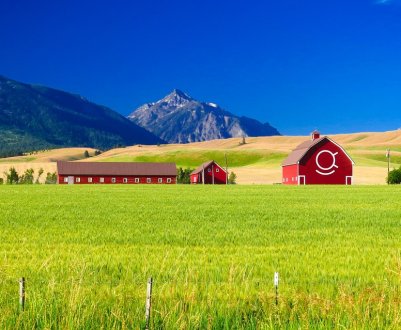 Фермери США отримають від держави 100 мільйонів доларів на розширення торгівлі