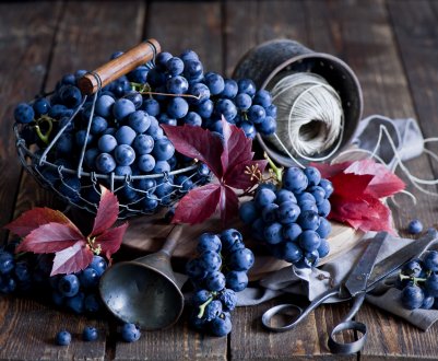 Адыгейские агропросторы урізноманітнюють промисловими виноградниками