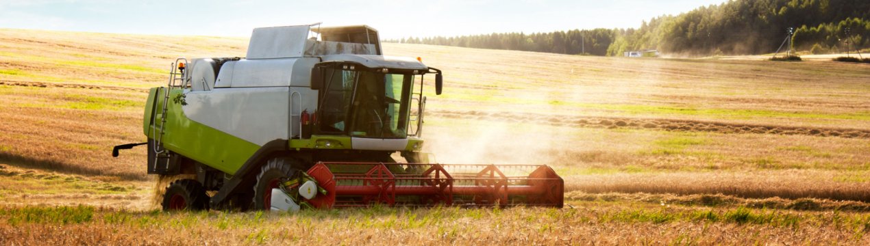 Агросектор Татарстану зацікавив іранських інвесторів