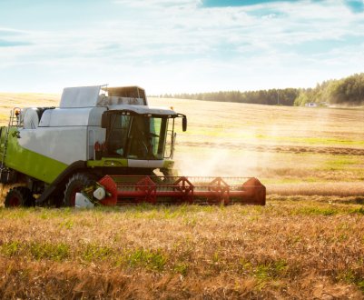 Агросектор Татарстану зацікавив іранських інвесторів