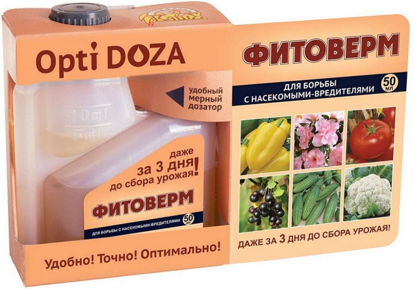 Смородина тля как бороться народные средства. 108365.pv1emc.850. Смородина тля как бороться народные средства фото. Смородина тля как бороться народные средства-108365.pv1emc.850. картинка Смородина тля как бороться народные средства. картинка 108365.pv1emc.850. Тля не только вредоносный паразит, который вытягивает все соки из смородины, но еще и переносчик опасных инфекций. Грибок – далеко не худшее, что может принести вредитель. Неизлечимые вирусы способны уничтожить целую посадку, погубить урожай и испортить почву на пару лет. Поэтому так важно своевременно бороться с тлей, а мы уже готовы рассказать, как!
