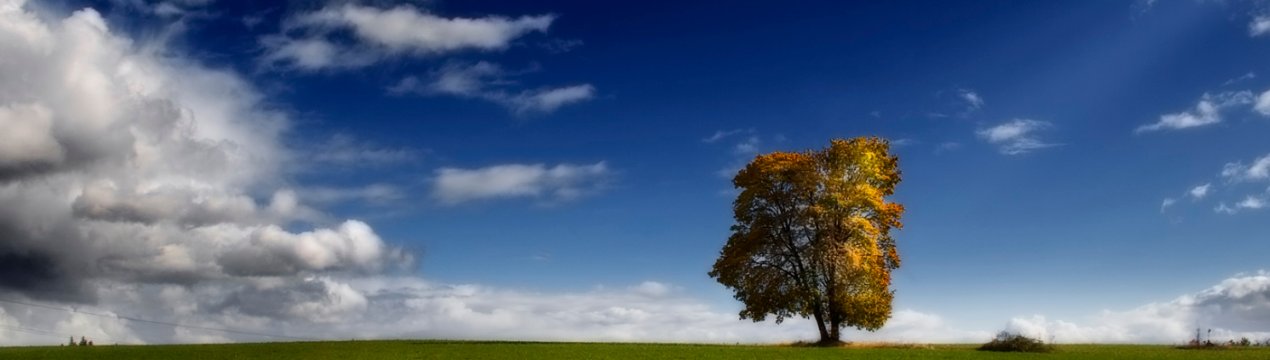 Синоптики попереджають українських фермерів про жаркому серпні і ранніх заморозках