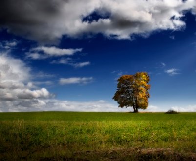 Синоптики попереджають українських фермерів про жаркому серпні і ранніх заморозках 