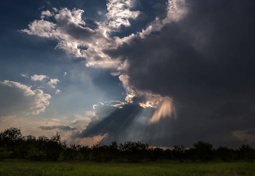 Синоптики попереджають українських фермерів про жаркому серпні і ранніх заморозках Синоптики попереджають українських фермерів про жаркому серпні і ранніх заморозках