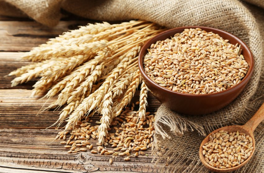 Росія хоче відправляти в Саудівську Аравію ще більше м'яса і зерна