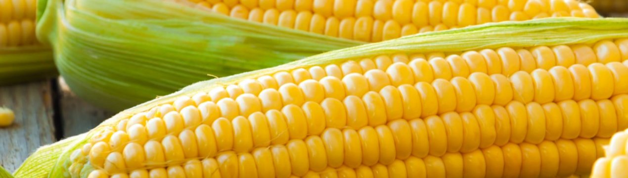 Індія скоротила посіви літніх культур майже на 7 відсотків