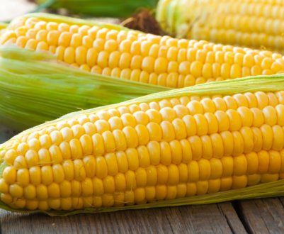 Індія скоротила посіви літніх культур майже на 7 відсотків