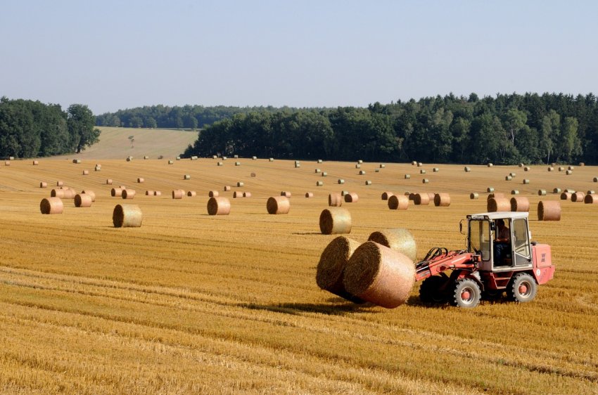 Фермери США отримають від держави 100 мільйонів доларів на розширення торгівлі Фермери США отримають від держави 100 мільйонів доларів на розширення торгівлі