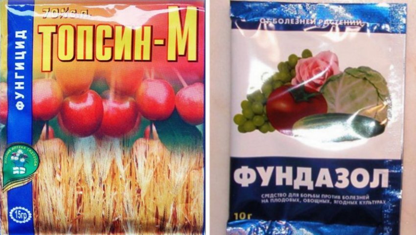 Препарати для боротьби зі стеблових раком