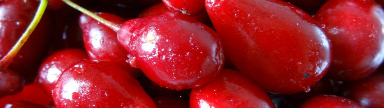 Кизил: корисні властивості і протипоказання для жінок і чоловіків