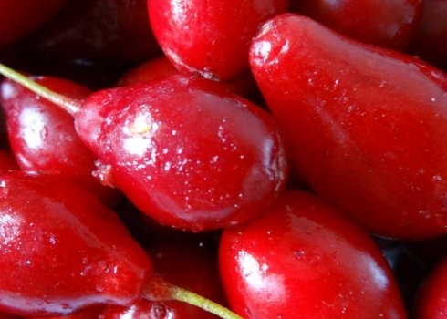 Кизил: корисні властивості і протипоказання для жінок і чоловіків