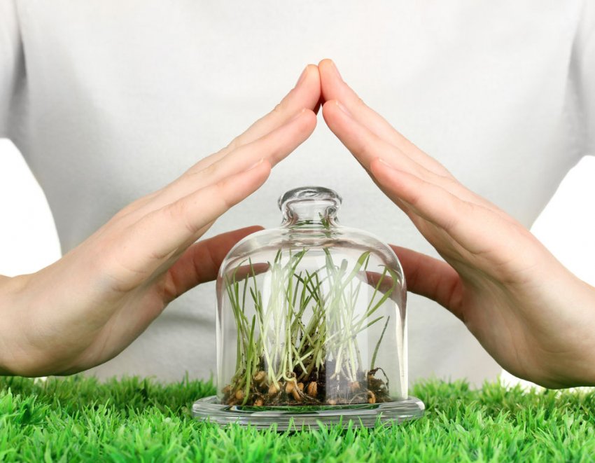 Поліція закрила виробництво контрафактних ЗЗР в Київській області Поліція закрила виробництво контрафактних ЗЗР в Київській області