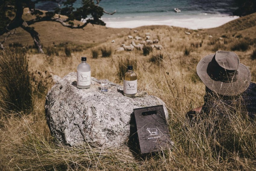 На прилавках Нової Зеландії можна знайти овече молоко, розбавлене джином