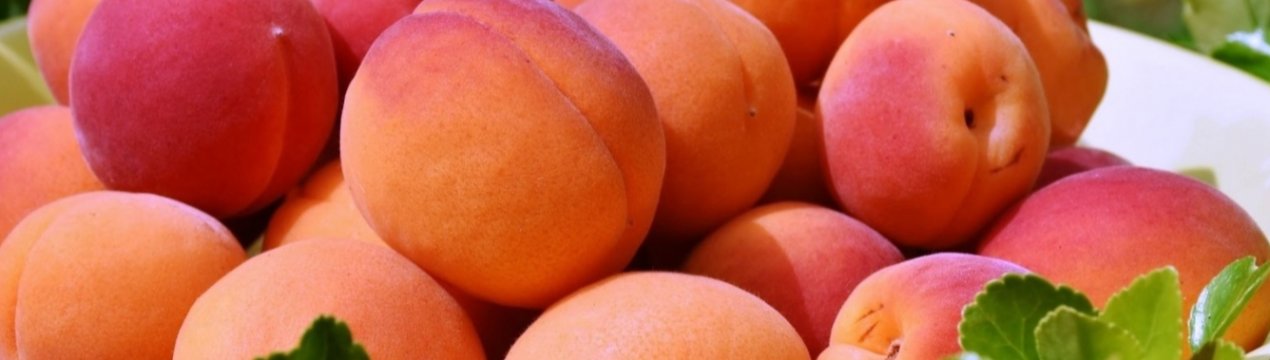 Оператори львівського оптового ринку продали річний обсяг абрикосів