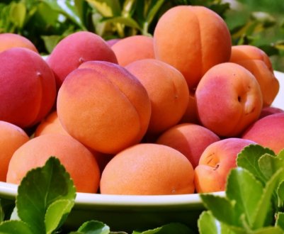 Оператори львівського оптового ринку продали річний обсяг абрикосів 