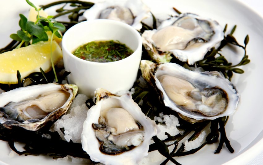 Нью-йоркські школярі та волонтери мають намір виростити мільярд устриць Нью-йоркські школярі та волонтери мають намір виростити мільярд устриць